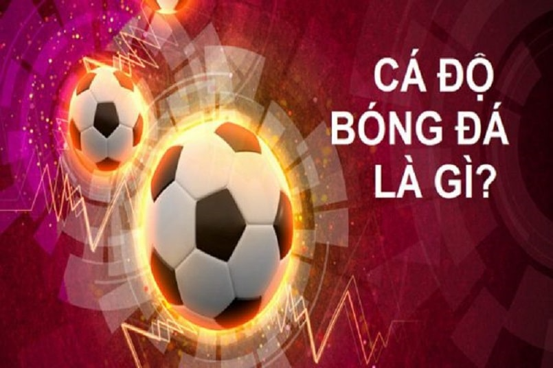 Cược thể thao là gì?