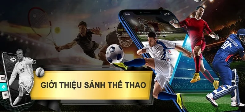 Những sản phẩm nổi bật tại O thể thao