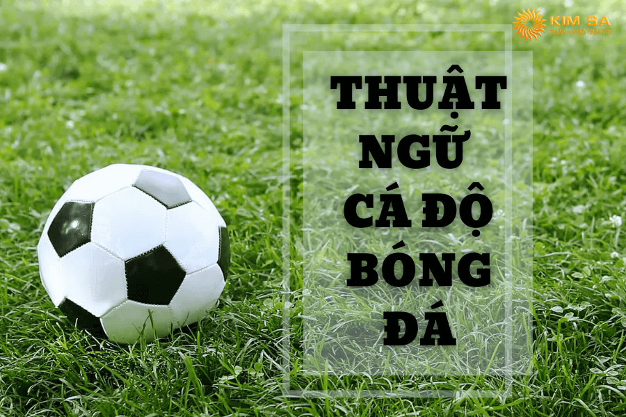 Thuật ngữ cá độ bóng đá mới nhất 2023