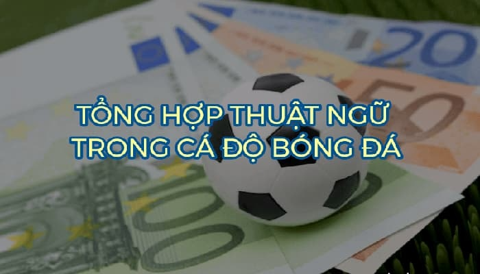 Tổng hợp thuật ngữ bóng đá quan trọng nhất
