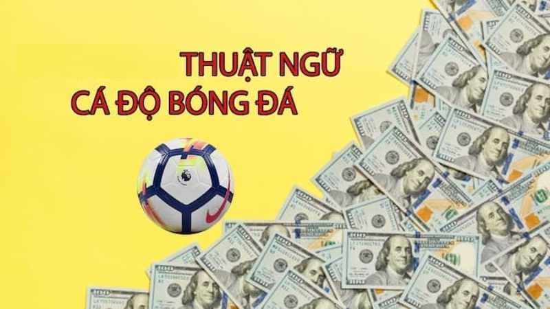 Thuật ngữ trong cá cược bóng đá về các loại kèo cược
