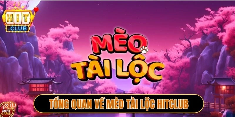 Tổng quan về Mèo tài lộc Hitclub