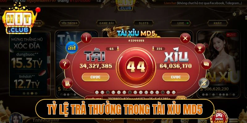 Tỷ lệ trả thưởng trong Tài xỉu MD5